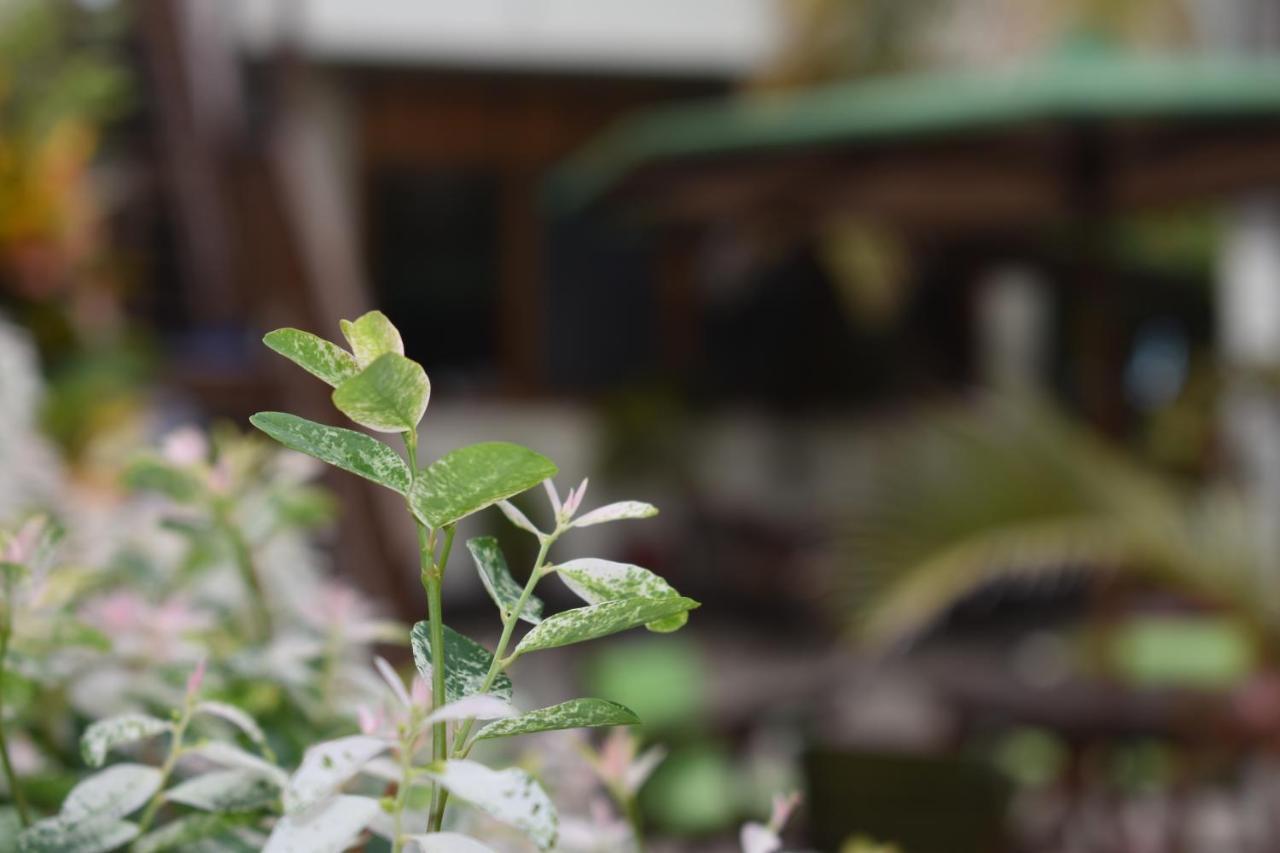 פורטו וילאמיל Hotel San Vicente Galapagos מראה חיצוני תמונה